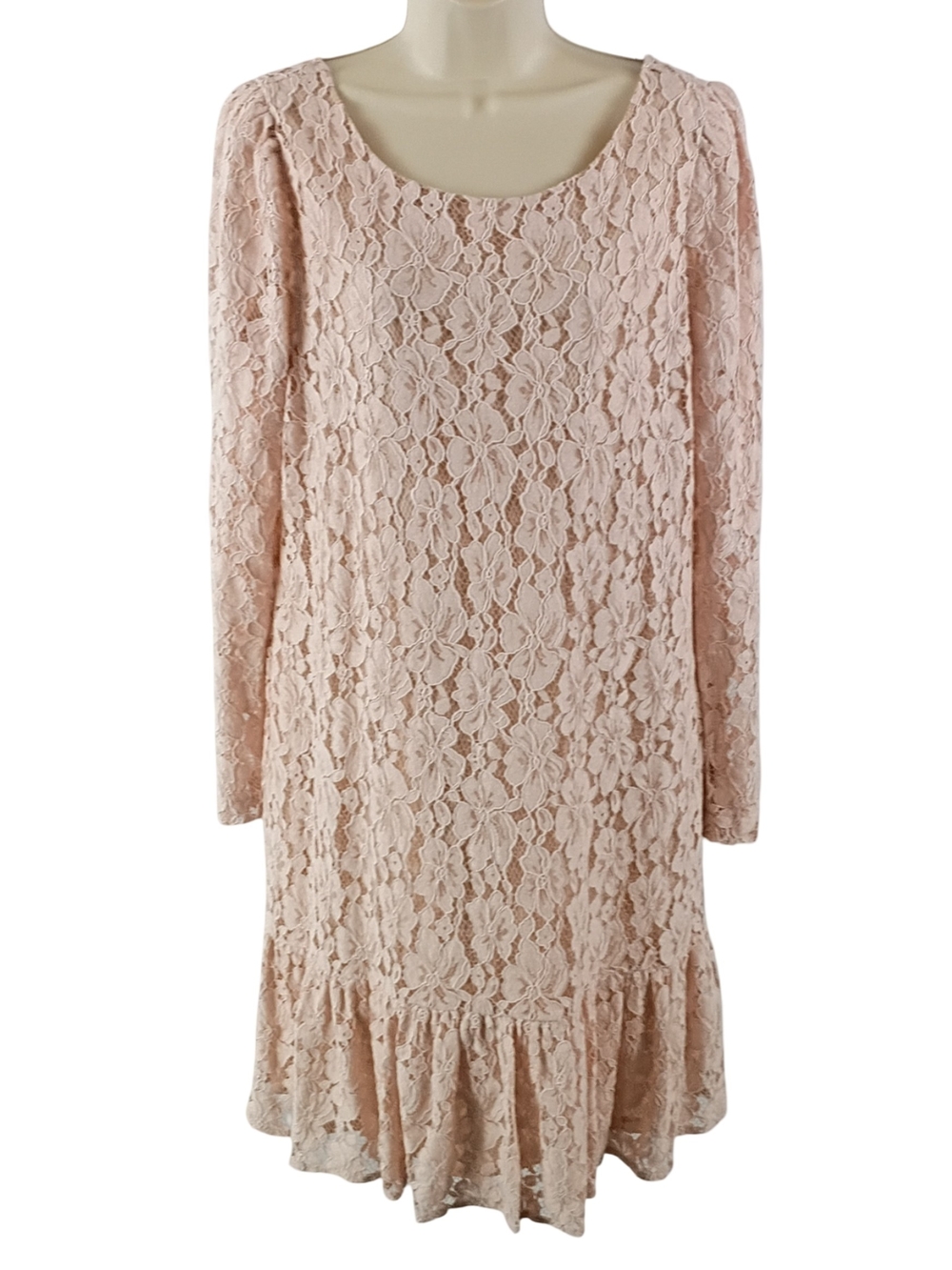 Soft Blush Lace Long Sleeve Dress